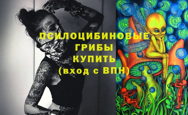 дурь Алексеевка