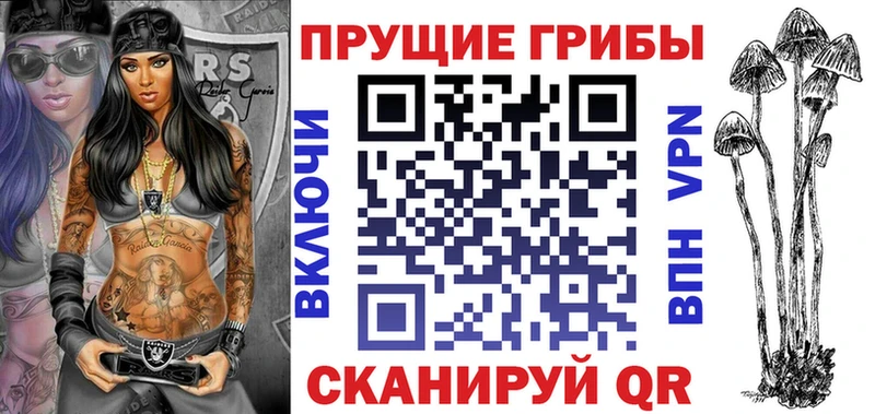 Галлюциногенные грибы Cubensis Петрозаводск