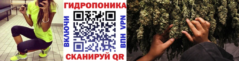 хочу Петрозаводск Каннабис планчик